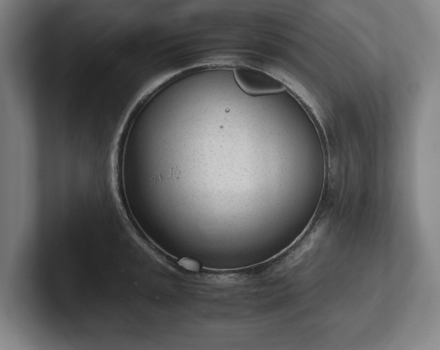 X0000101991045200807251222