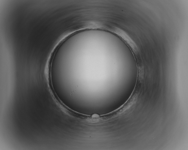 X0000101991046200807251222