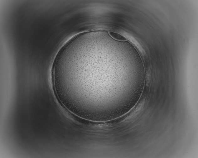 X0000101991047200807251222