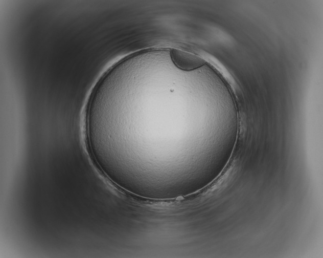 X0000101991048200807251222