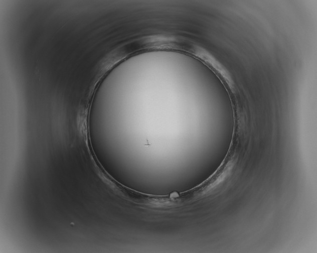X0000101991049200807251222
