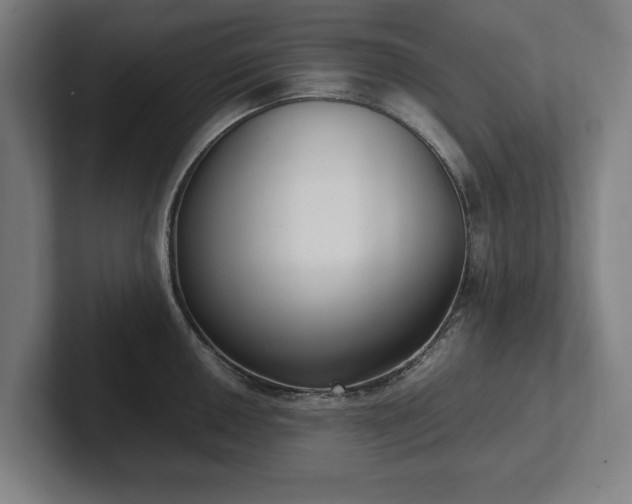 X0000101991050200807251222