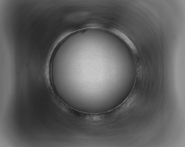 X0000101991051200807251222