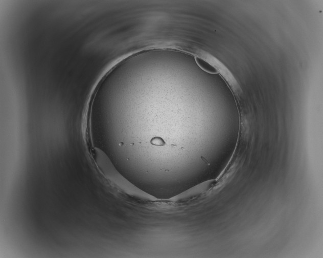 X0000101991052200807251222
