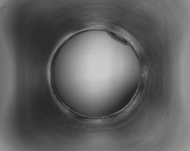 X0000101991054200807251222