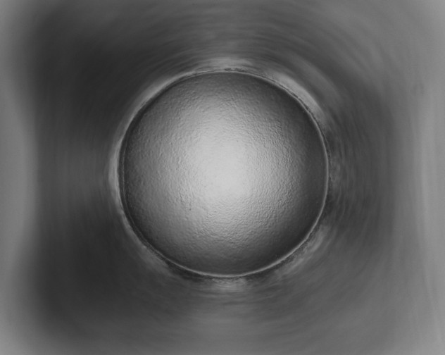 X0000101991055200807251222