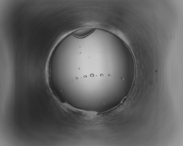 X0000101991056200807251222