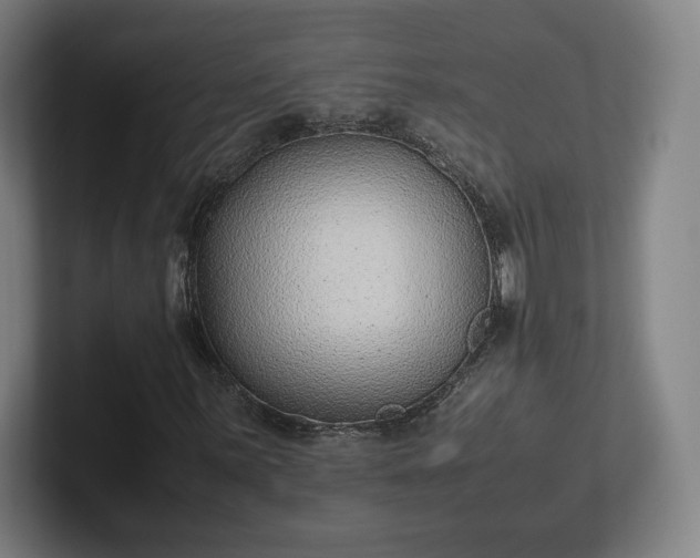 X0000101991059200807251221