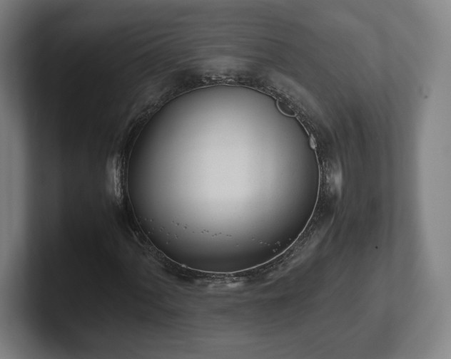 X0000101991060200807251221