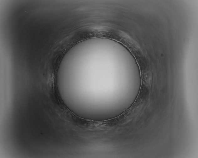 X0000101991061200807251221