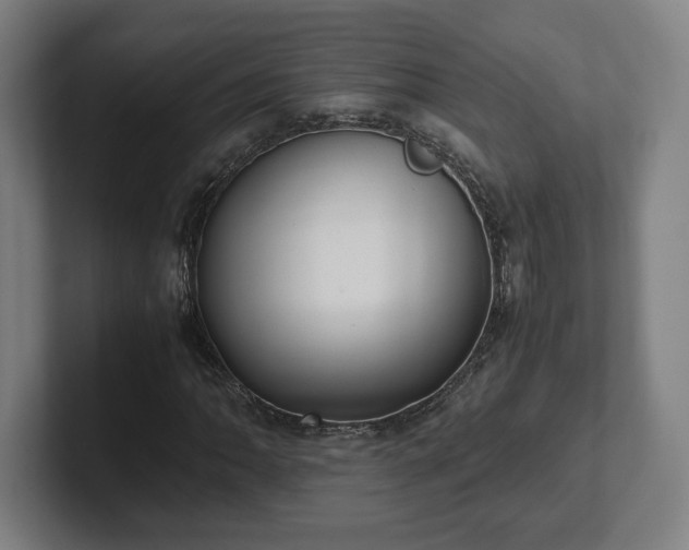 X0000101991062200807251221