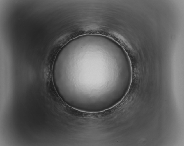 X0000101991063200807251221
