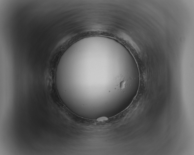 X0000101991064200807251221