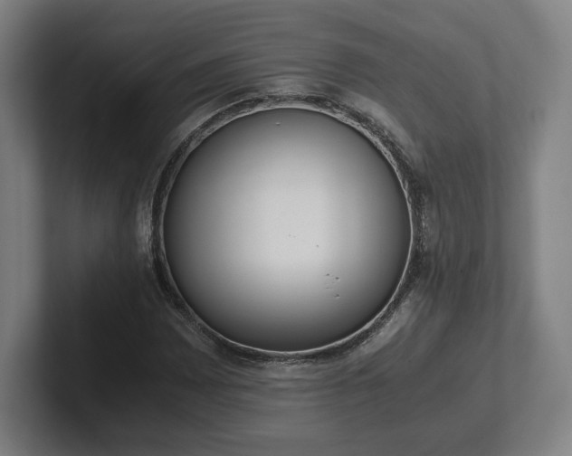 X0000101991065200807251221