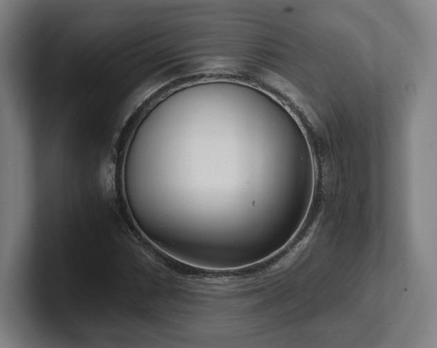 X0000101991066200807251221