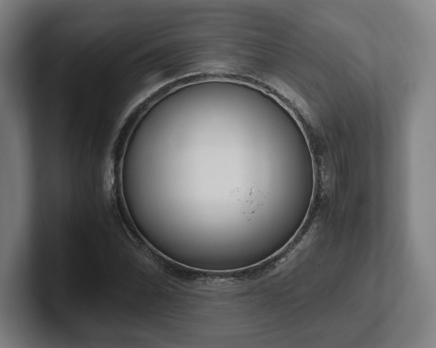 X0000101991070200807251221