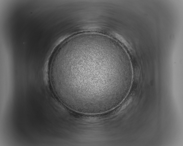 X0000101991071200807251221