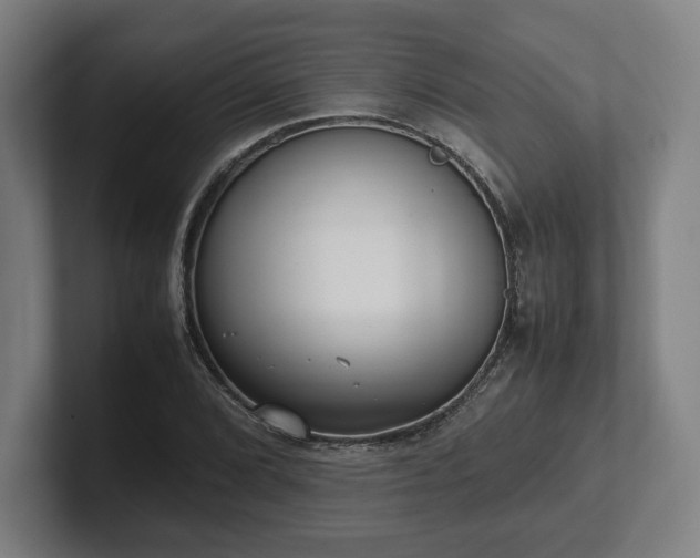 X0000101991072200807251221