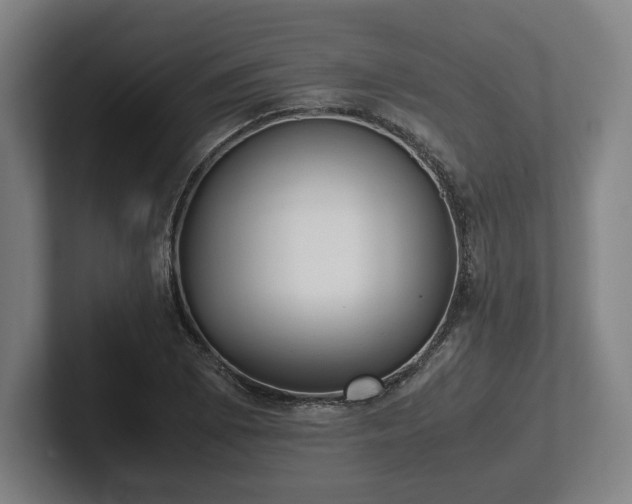 X0000101991073200807251221