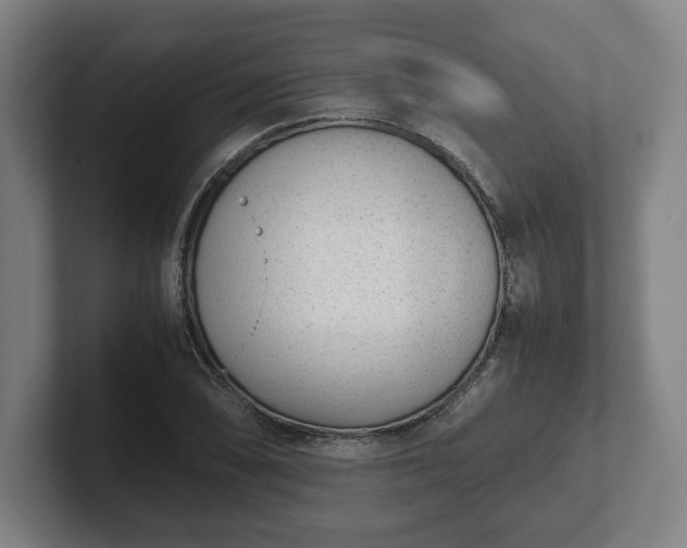 X0000101991074200807251221