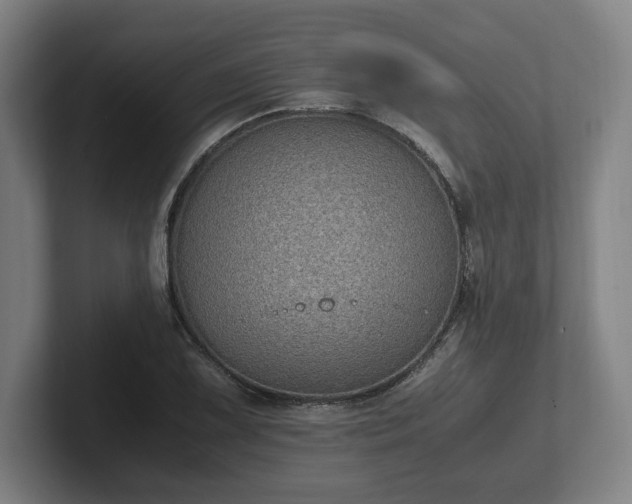 X0000101991075200807251221