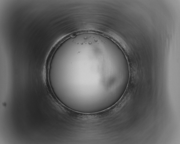 X0000101991076200807251221