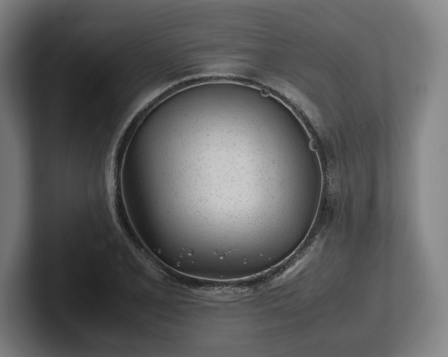 X0000101991077200807251221