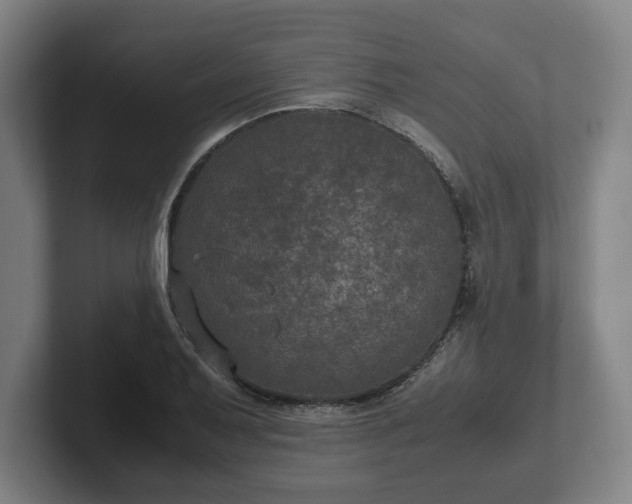 X0000101991079200807251221
