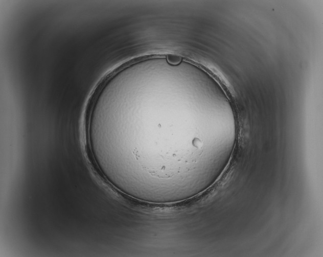 X0000101991080200807251221