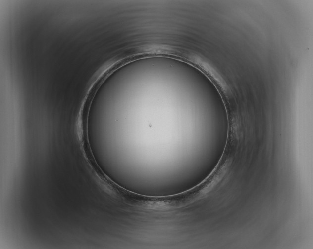 X0000101991082200807251221