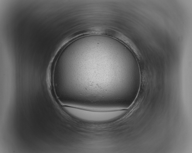 X0000101991083200807251221