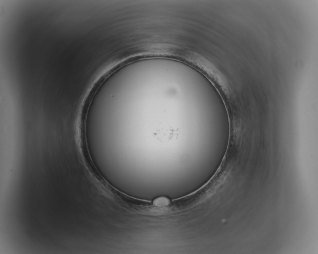 X0000101991085200807251221
