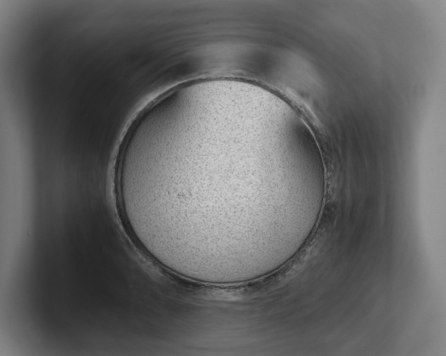 X0000101991086200807251221