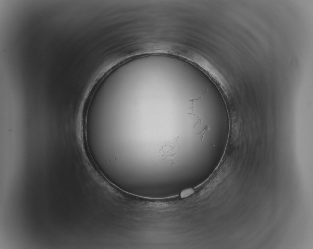 X0000101991088200807251221