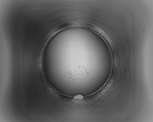 X0000101991089200807251221