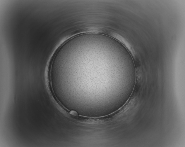X0000101991091200807251221