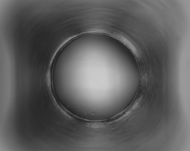 X0000101991092200807251221