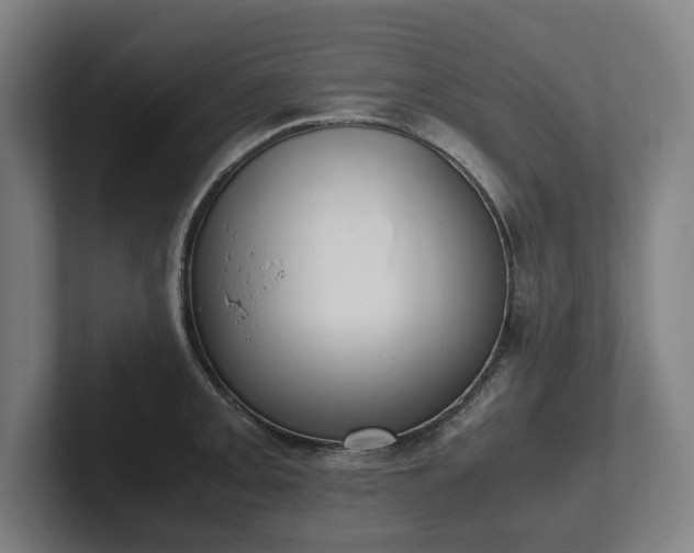 X0000101991093200807251221
