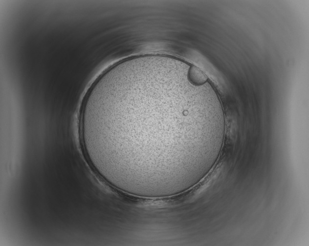 X0000101991094200807251221