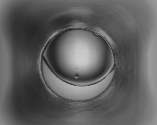 X0000101991095200807251221