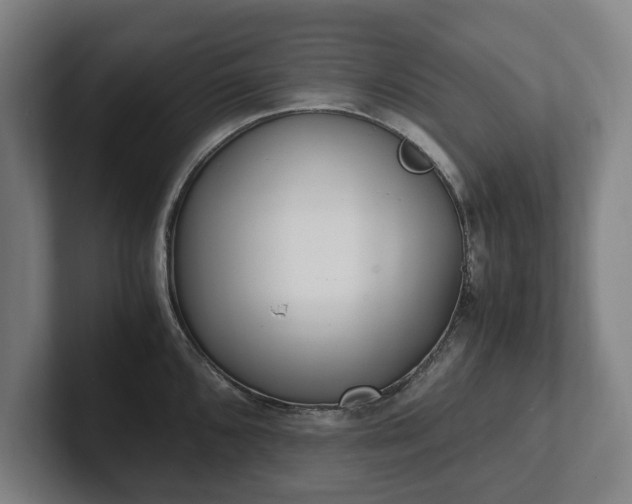 X0000101991096200807251221