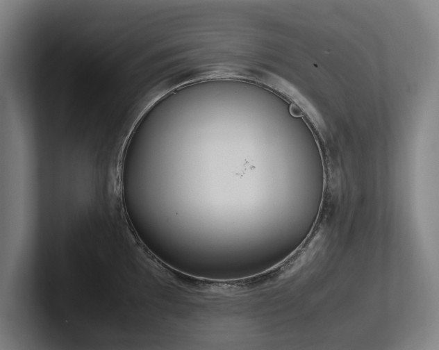 X0000101991097200807251221