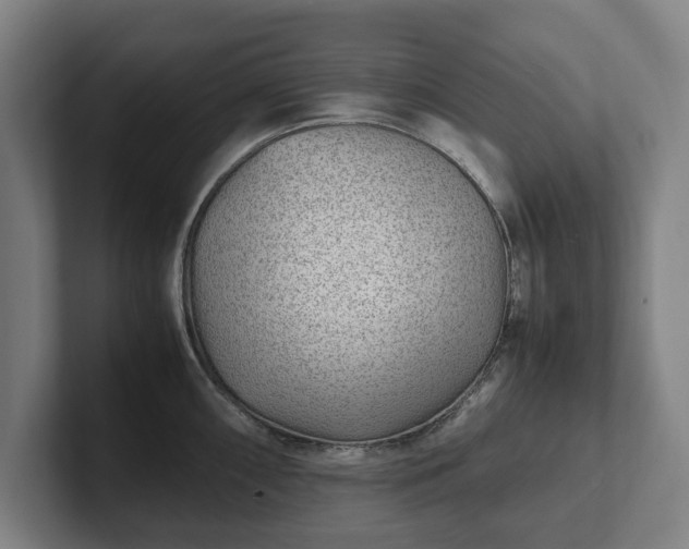 X0000101991098200807251221