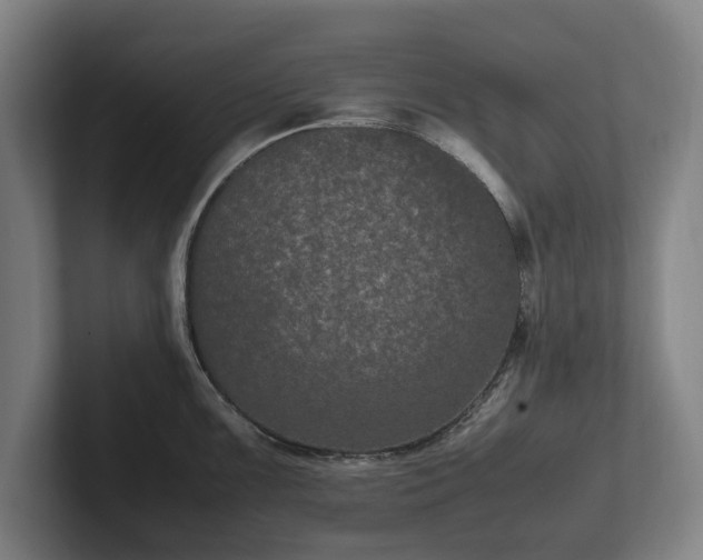 X0000101991099200807251221