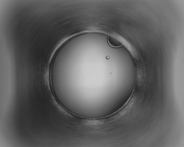 X0000101991100200807251221