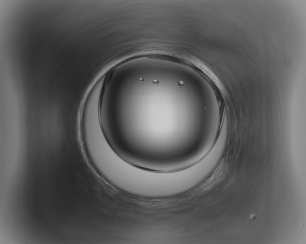 X0000101991101200807251221