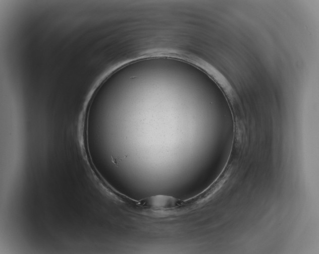 X0000101991102200807251221