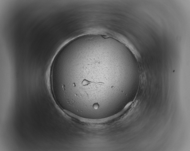 X0000101991103200807251221