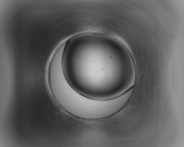 X0000101991104200807251221