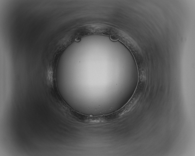 X0000101991108200807251220